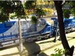 RUMO 9596